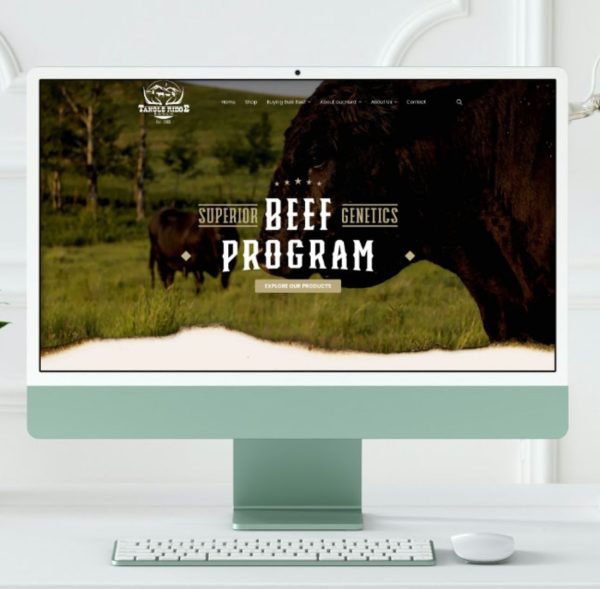 Person using a smartphone to browse a mobile-friendly website.