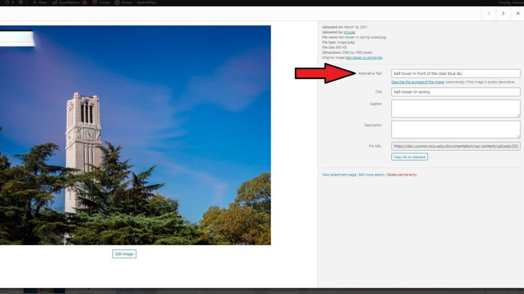 How to Add Alt-Text to Images for Accessibility